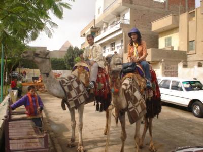 my camel does not look happy